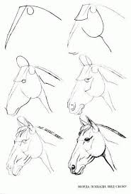 Apprenez A Dessiner Avec Hitart Dessiner Licorne Dessin Croquis Blog Comment Dessiner Un Cheval Dessin Cheval Tete De Cheval Dessin