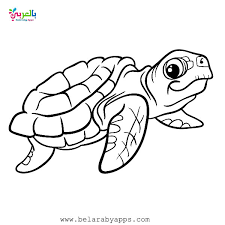 Some species of sharks are dangerous to humans, such as the white shark or tiger shark. Free Printable Sea Animals Toddler Coloring Page Belarabyapps