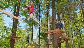 seilpark die besten schweizer adressen fur spass in luftiger hohe ausflug schweiz seil