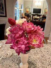 Maybe you would like to learn more about one of these? Can I Purchase Cut Lotus Flowers Or Waterliliesfor An Event I Am Plann Pond Megastore