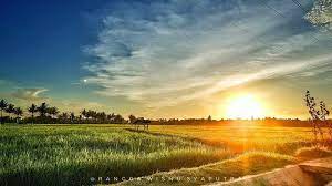 Apalagi, awan yang mengelilinginya seperti sebuah. Sawah Kerjo Ponjong Lokasi Primadona Bagi Penikmat Senja Pidjar Com
