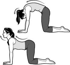 Nauli kriya is a weird and wonderful yogic cleansing technique but it can be confusing for beginners to get their heads around. 11 Exercises For Better Sleep The New York Times