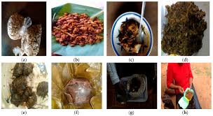 Image result for Sphenostylis