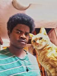 Cat lovers sharing photos and experiences with their feline friends