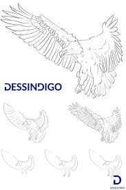 Comment Dessiner Un Aigle Dessin Aigle Dessin Aigle