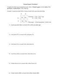 Try this set of worksheets on completing squares to solve quadratic equations featuring three levels of difficulty to practice applying the technique. Punnett Square Worksheet Human Characteristics