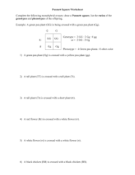 Solve each equation by completing the square. Punnett Square Worksheet Human Characteristics