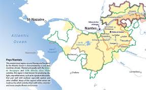 Explore all the loire valley chateaux through our 70 page guide. Taste And Learn Loire Valley Pays Nantais Briscoe Bites