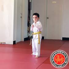 Karate Benefits For Children In 2020 Shotokan Karate Shotokan Karate