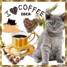 Café chat - GIF animado gratis - PicMix