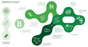 Suppose they want the answer in milliseconds rounded to 2 decimal places. The Age Of Agrochemicals Is Ending It S Time For Agricultural Biotech