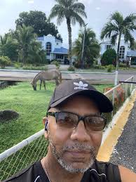 We are looking for something to do tonight and friday night .....any ideas