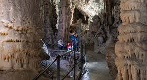 Eintrittskarten Fur Den Park Der Hohle Von Postojna Park Der Hohle Von Postojna