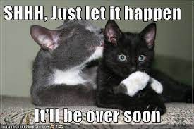 Just Let It Happen Love Meme