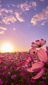 Galaxy Note 5 Wallpapers Hd Windows Wallpapers Far cry 6 4k ultra hd wallpapers.