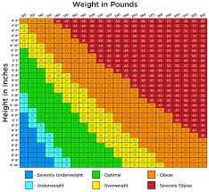 Body Mass Index Fatgirlskinny Net Slimming World Recipes
