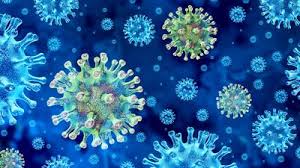 In fact, every virus has the ability to change through mutation, and variants (essentially different versions) are to be expected, especially if a virus. Sg6wgcvxyzx7fm