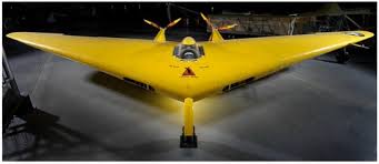 Image result for Natural Yellow 1999 Fleet