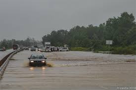 Check spelling or type a new query. Meredah Banjir Cara Dan Risikonya Careta