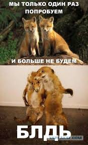 tverskoj krichit gorlom peremogi veselye memy smeshnye memy veselye kartinki