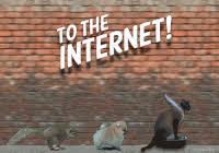 Explore and share the best internet down gifs and most popular animated gifs here on giphy. Internet Down Gifs Get The Best Gif On Gifer