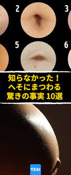 知らなかった へそにまつわる驚きの事実10選 へそ 事実 豆知識 トリビア 意外 驚き 知らなかった 性感帯 豆知識 へそ 医療