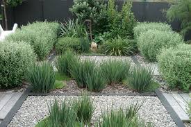 Outer Space Capital Life Dominion Post Stuff Co Nz Landscaping Jobs Seaside Garden Coastal Gardens