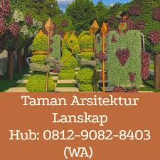 Taman Anggrek Rumah Minimalis Taman Air Rumah Minimalis Rumah Minimalis Ada Taman Dan Kolam Ikan Lanskap Anggrek Bunga Ranunculus