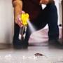 Bed Bug Cockroach Pest Control from brock360.com