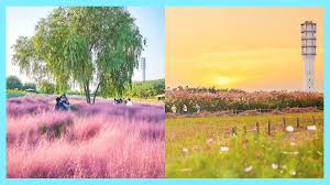 The latest styles and hottest beauty trends, get relationship and family advice, know more about home and garden design tips on msn philippines lifestyle. Jkxy0skk2pjg7m