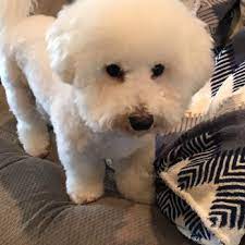 We did not find results for: The Animal House Pet Stores 2934 Cypress St West Monroe La Phone Number