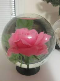 Make sure to wash out the vase with soap and water and let it dry before adding the roses. Red Rose In Water Globe