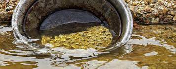 Other countries such as canada, mexico, and australia grant similar rights. Getting To Know Your Claim Montana Gold Claims