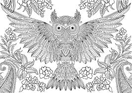 This is owl mandala coloring page characters animals coloring pages image. Owl Coloring Pages For Adults Free Detailed Owl Coloring Pages Owl Coloring Pages Mandala Coloring Pages Abstract Coloring Pages