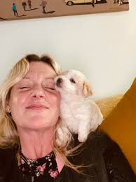 Happy 2nd birthday to all fury friends