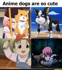 Anime Dogs Are So Cute Ifunny Anime Anime Funny Fullmetal Alchemist The best memes from instagram, facebook, vine, and twitter about fmab. pinterest