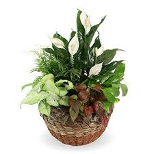 Obituary information for Doris Jean Leininger