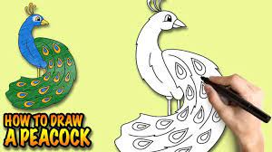 How to draw and coloring a cute peacock easy step by step ~ for kids. Before You Learn How To Draw A Peacock Did You Know The Peacock Is Famous For The Beautifull Drawing Lessons For Kids Drawing A Peacock How To Draw A Peacock