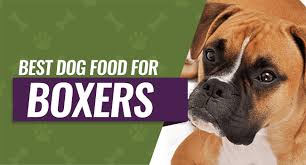 Best Dog Food For Boxers Definitive Guide Top 5 Reviews