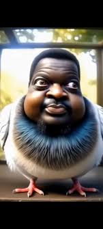 Black Pigeon with Feet