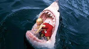 Woman holding shark wallpaper, digital art. Cool Shark Wallpapers Wallpaper Cave