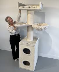 Shopping for a maine coon cat tree is a little different to shopping for a cat tree for other cat breeds. Cat Tree Maine Coon Tower Box Comfort Creme Rhrquality Com