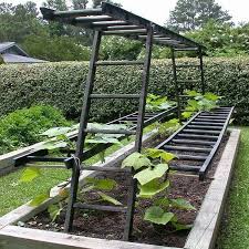 Ten Amazing Things You Can Make With Old Metal Ladders Top 10 Of Anything And Everything The Fun Top Ten Blog Garden Vines Garden Structures Garden Trellis
