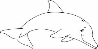 Puedes utilizar ceras, lápices, témpera o trocitos de papel de distintos colores recortados de revistas para dar color a estas láminas de animales. Mamiferos Para Colorear 10 Imagenes Y Dibujos Con Resenas Animales Para Colorear