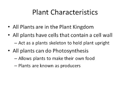 A plant cell without a cell wall is mycoplasma. What Is A Plant Cell Without A Cell Wall Called Quora