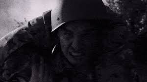 Hawk Sighting near Van Ness : r/sanfrancisco