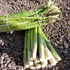 Blog De Cuisine Avec La Cuisson Des Asperges Vertes Asperge Verte Portugais Cuisine Cuisine
