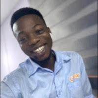 200+ "Emmanuel Adeyemi" profiles