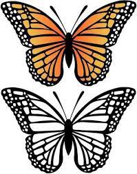 Your resource to discover and connect with designers worldwide. Monarch Butterfly And Silhouette Vector Illustration Butterfly Drawing Butterfly Template Butterfly Printable