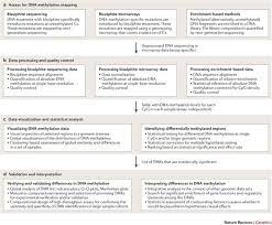 Analysing And Interpreting Dna Methylation Data Nature Reviews Genetics